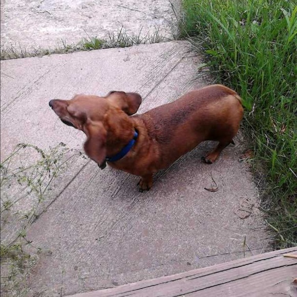 Meet your Posher, Jenna - Picture 2 of 3